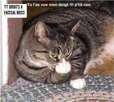 regardé et ....