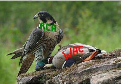super